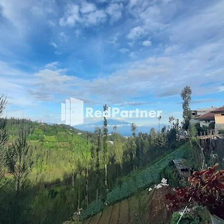 Bromo Indah Lestari Homestay Mitra Reddoorz Pasuruan Eksteriør billede